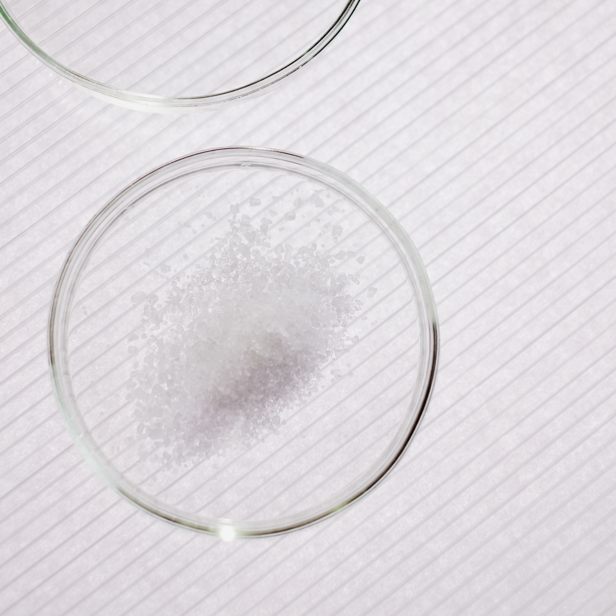 Niacinamide, la vitamina PP: dalla polenta della Pianura Padana ai sieri per la pelle.